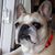 Judy Kelley's profile image