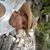 Greybin Neptaly Cruz Mendez's profile image