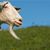 Jeff Wisher's profile image