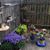 Marsha Ahrens's profile image