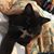 Linda Nelson's profile image