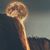 Theresa Whitworth Ryan's profile image