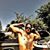Mike Frohman's profile image