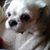 Darlyn Kofoed's profile image