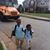 Shelly Homesteader Chick Goodwin's profile image