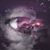 Ritchie Nihei's profile image