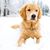 Marie Scheske Jones's profile image