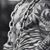 Sam Elliott Pastore's profile image