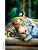 Angela M.'s profile image