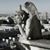 Colleen Hubbard Shaw's profile image