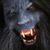 Tom Bryan's profile image