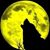 Ricky Wolfhard's profile image