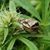 Keith Riehl's profile image