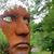 Jocelyn Tyrrell's profile image