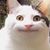 Kat Lebeau's profile image