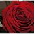 Sandra Partin Dunn's profile image