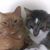 Terri Hopper's profile image