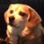 Michelle Marie Roloson's profile image