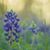 Linda Fredrickson Landreth's profile image