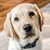 Berly Huzer's profile image
