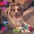 Michelle Mullins Smith's profile image
