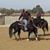 Mandy Lepp's profile image