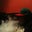 Jose Jimenez's profile image