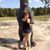 Jennifer Oulman's profile image