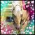 Kimberly Clark Phillips's profile image