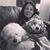 Vilma Carcamo-Jaffe's profile image