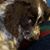 Lesa Smith's profile image
