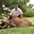 Jorge Figueroa's profile image
