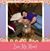 Misty Marsh's profile image