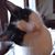 Cheryl Davis's profile image
