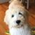 Shelly Nichols-gallaher's profile image