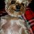 Carol Marquardt-Godber's profile image