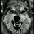 Adam Hopkins's profile image