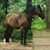 Wendy Thomas's profile image