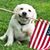 Babette Murray's profile image