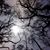 Cindy Morgan Martin's profile image