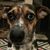 Shelly Hehner's profile image