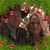 Angie McNabb's profile image