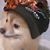 Jeanette Beeson Pride's profile image