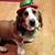 Jerrilynn Waller Pierce's profile image
