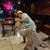 Rocky Ramirez's profile image