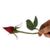 Bev Knotts's profile image