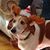 Karen Lynn Woodring's profile image