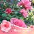 Maria Pereira's profile image