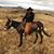 Susan Jackson's profile image
