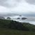 Christine Meder's profile image